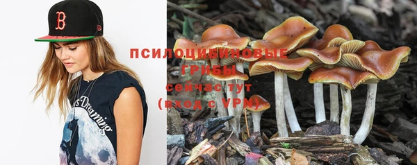 прущие грибы Алексин
