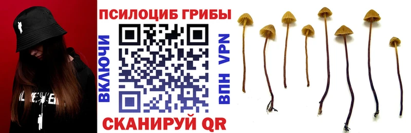 Галлюциногенные грибы прущие грибы  Похвистнево 